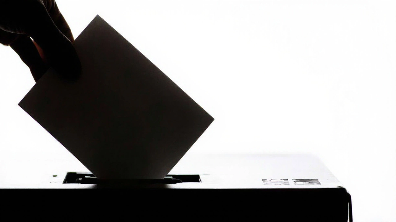 Political Fallout and the Limits of a Petition